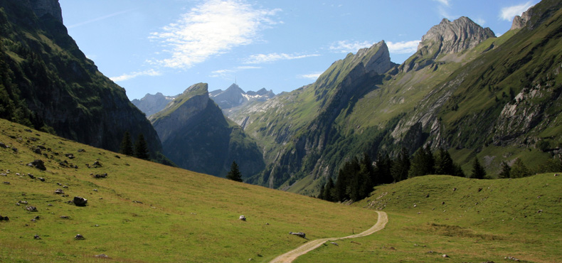 Path into hills